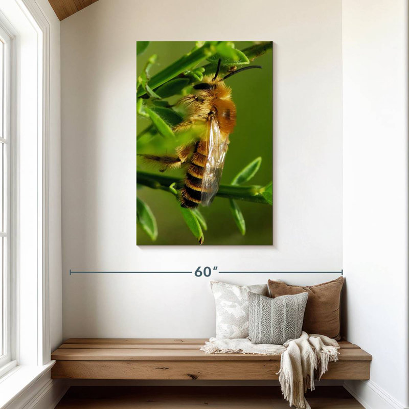 Brampt Bee Bee Bee, H 45 po x l 30 po