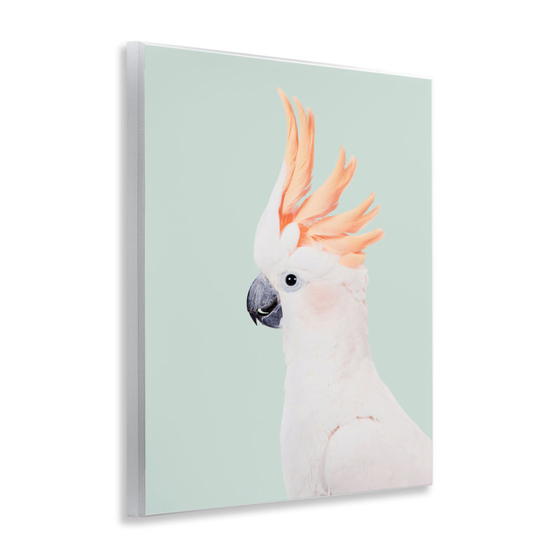 «White Cockatoo», art mural blanc sur bois par Sissi et Seb