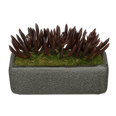 7'' Faux Succulent Plant in Ceramic Vase