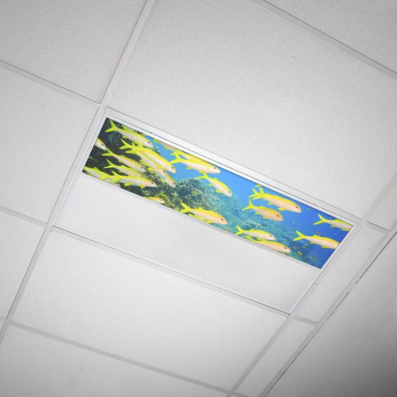 Couvre-lumière décoratif flexible océan