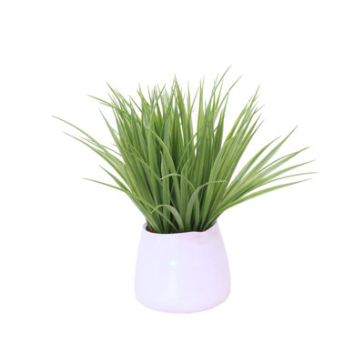 Grass in White Planter