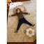 Coussin planète