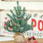 Lighted Artificial Spruce Christmas Tree-1110180755