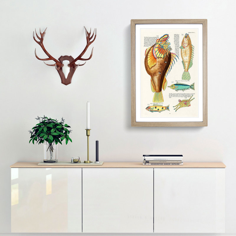 East Indies Fish Illustrations Huitieme by Louis Renard - Picture Frame Graphic Art Print, 65cm H x 48cm W x 2cm D