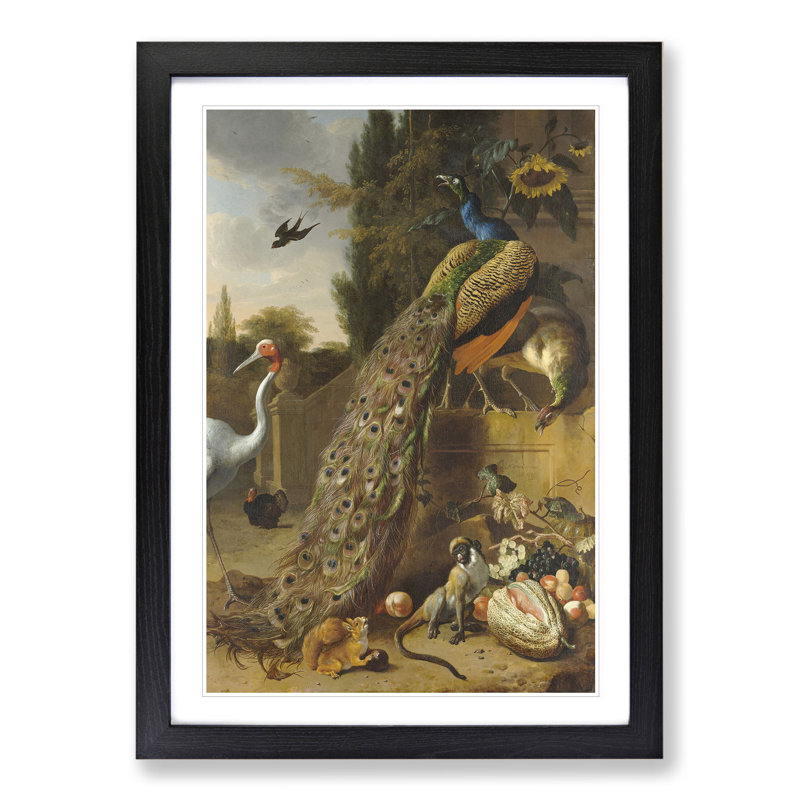 Peacocks by Melchior DHondecoeter - Framed Print, 65cm H x 48cm W x 2cm D, Black Framed