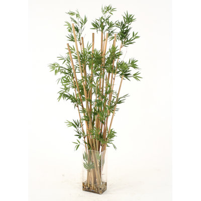 Chiara 66'' Faux Bamboo Plant in Glass Vase