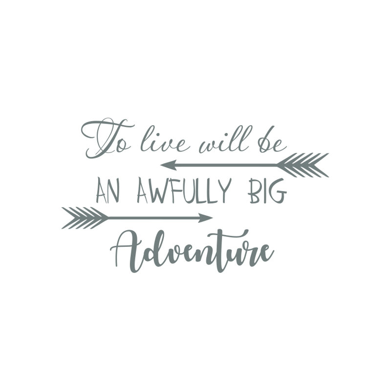 Non-Wall Damaging Wall Decal, Grey
