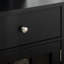 Armoire de cuisine noire avec tablette réglable et 2 tiroirs, portes en verre pour tablette de rangement élégante, et