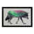 Black Framed is unavailable
