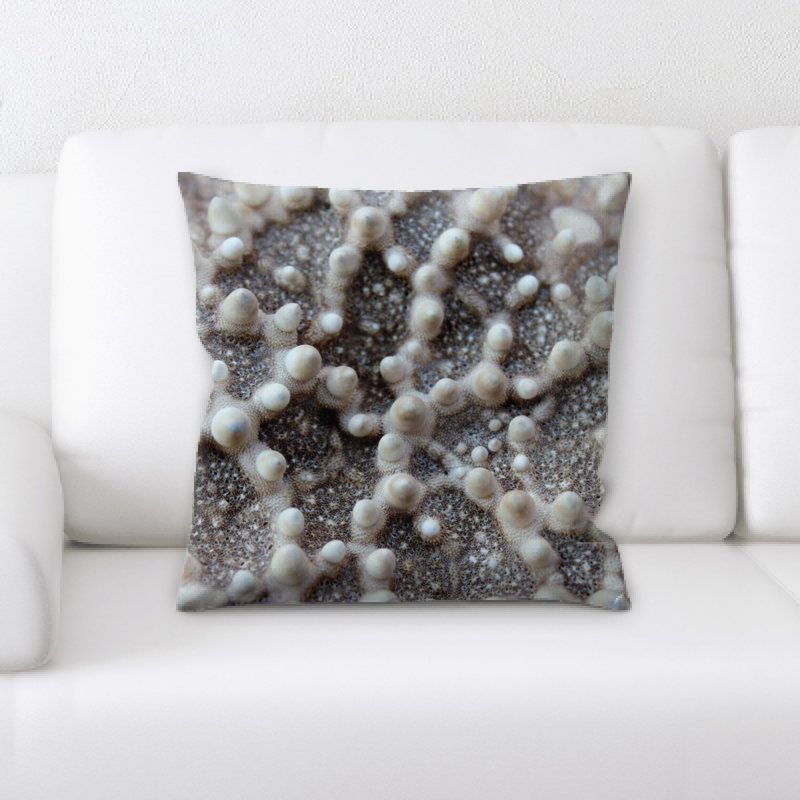 Coussin étoile de mer