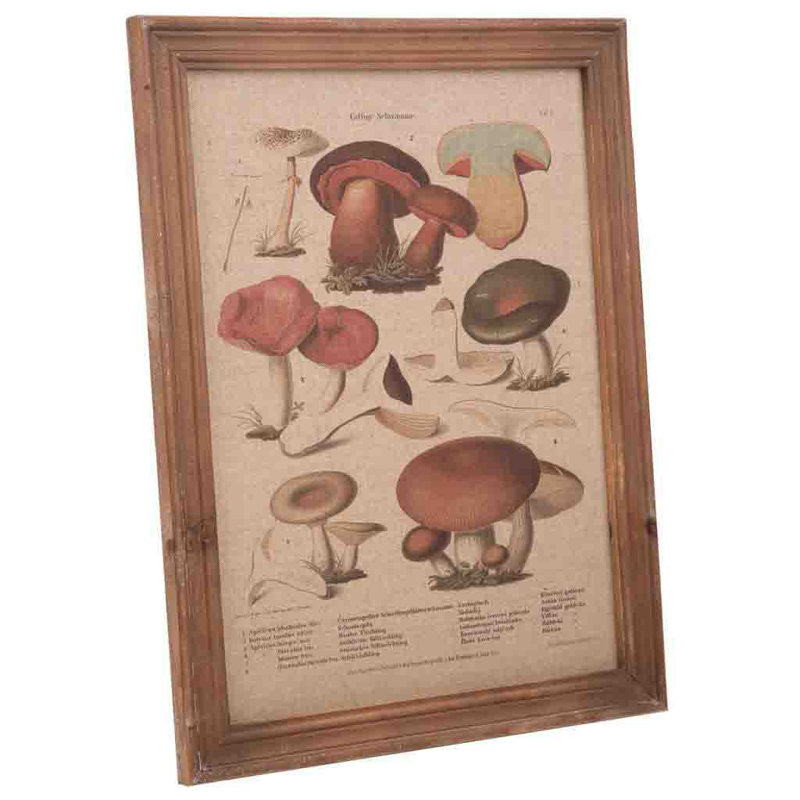 Single Picture Frame Print