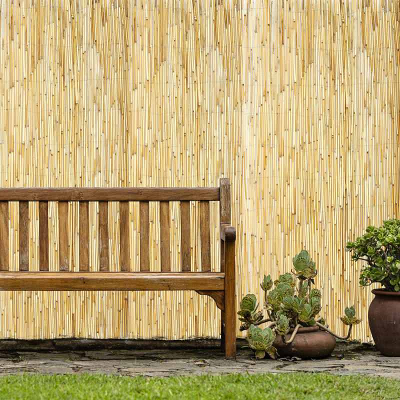 Panneau de clôture décoratif en roseau naturel H 4 pi x l 8 pi