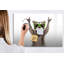 Magnetic Glass Dry Erase Board