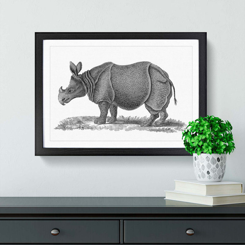 Rhinoceros in Black & White by George Shaw - Picture Frame Drawing Print, Black Framed, 27cm H x 36cm W x 2cm D