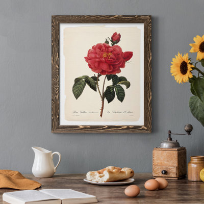 Red Botanical III - cadre photo, impression sur toile