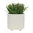 Includes plant rack flower pots-153185173