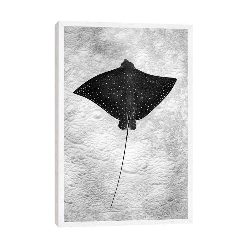 Spotted Eagle Ray Vertical by Jordan Robins - Print on Canvas, White Framed, 101.6cm H x 66.04cm W x 3.81cm D