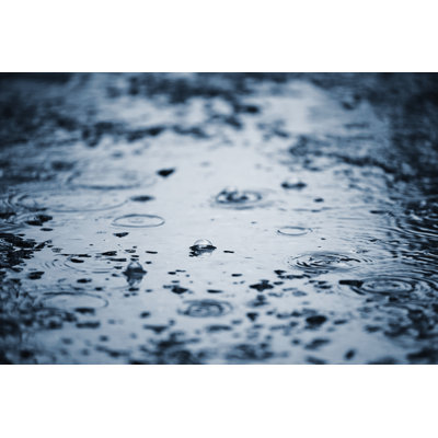 " Rain Drops "