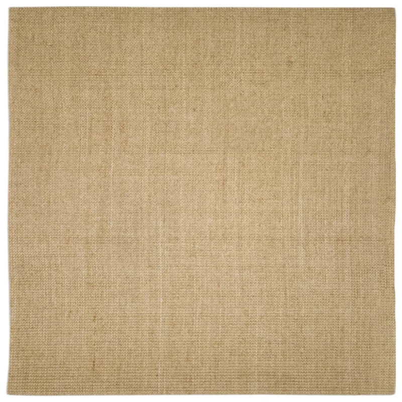 Light Brown Area Rug, Rectangle 66 x 100 cm