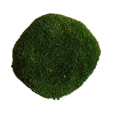 2 - Piece 28 Artificial Moss Grass in Basket Primrue