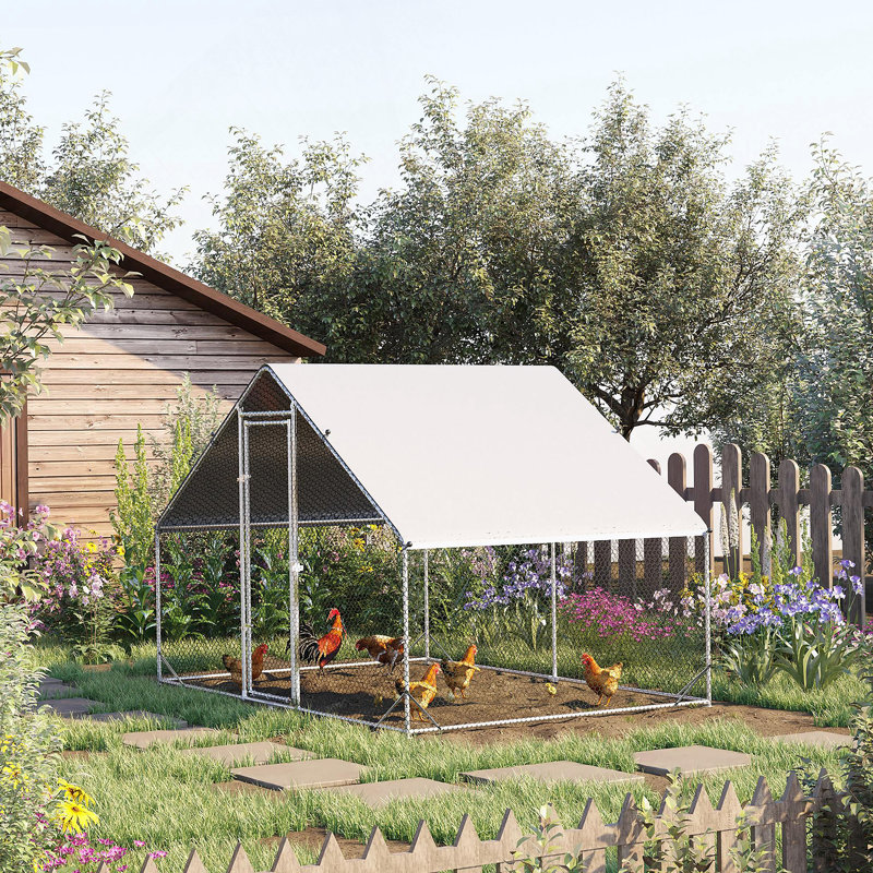 Poulailler d'extérieur polyvalent pour divers animaux de compagnie, améliorant leur vie, H 78,75 po x l 118 po x P 78,75 po