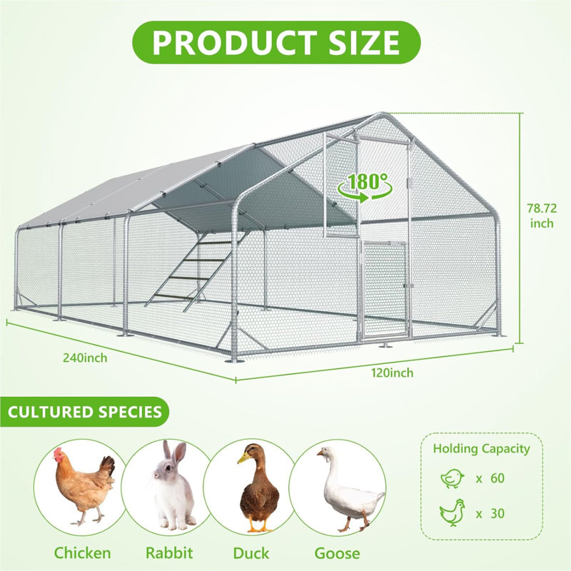 Grand poulailler en métal, H 78,74 po x l 118,11 po x P 236,22 po