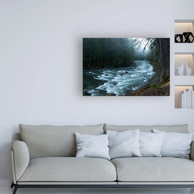 " River In The Forest "