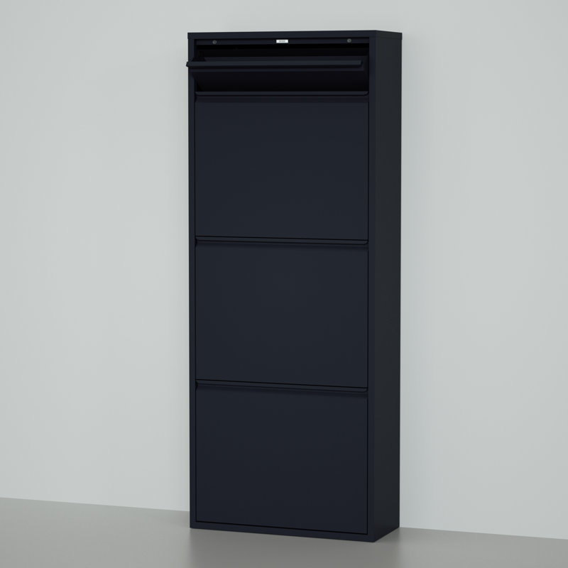Armoire de rangement pour chaussures 6 paires, Noir