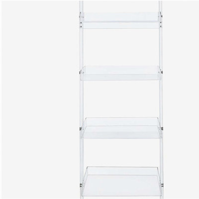 Clear Acrylic Ladder Bookcase
