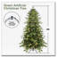 Arbre de Noël 7,5 pi avec lumières-1826299569-1826299575