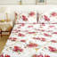 Collection de surfaces 