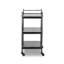 Teagan Bar Cart-Smoked Black Cast Glass