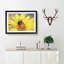 Bee Collecting Pollen in Abstract - Picture Frame Painting Print on MDF-55685871-55685875