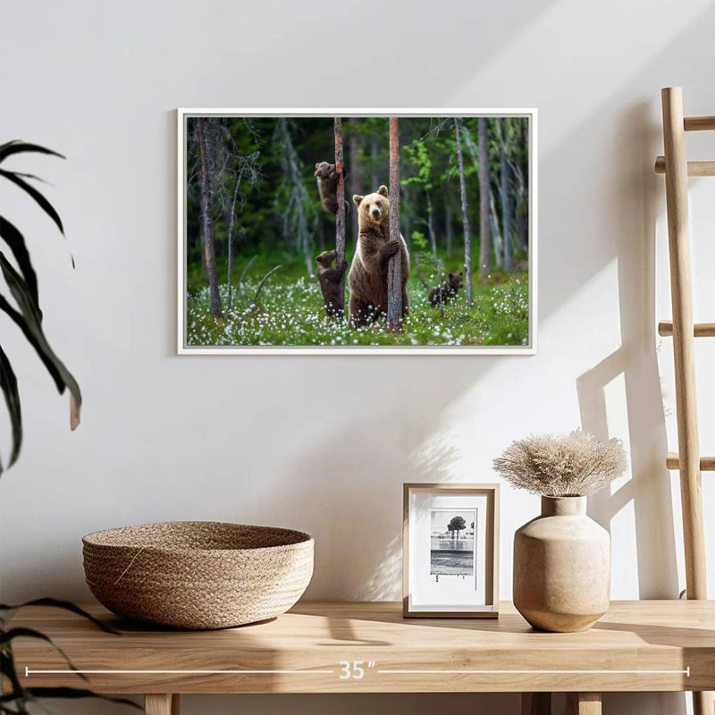 Ours dans la forêt, Cadre flottant blanc, 19 po x 13 po