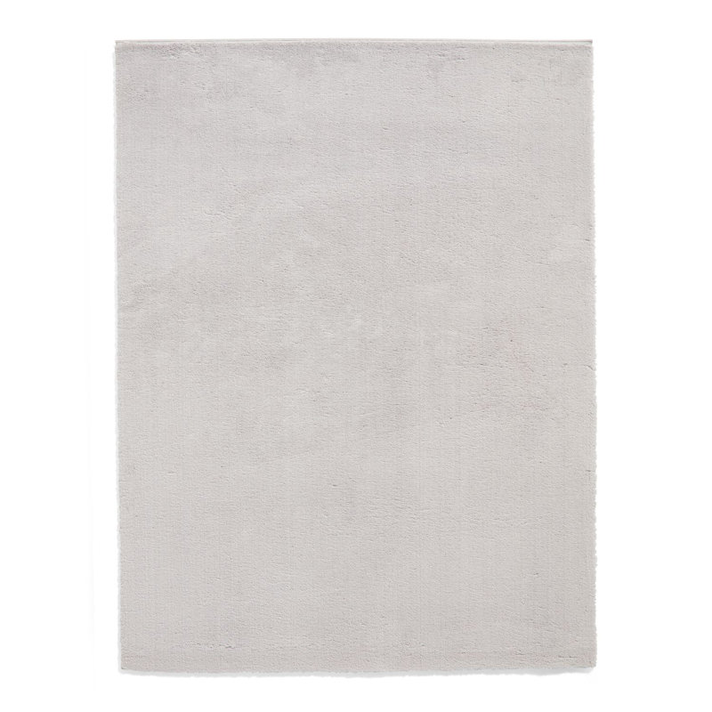 Adreanna area rug Machine Woven Rectangle Grey, Rectangle 160 x 230cm