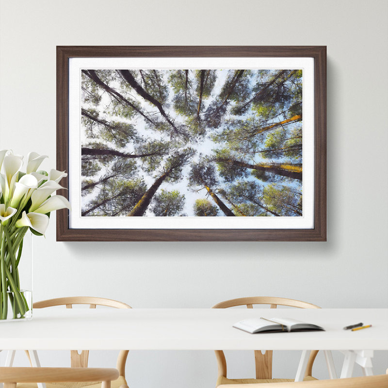 Tree Tops - Picture Frame Painting Print, Walnut Framed, 62cm H x 87cm W x 2cm D
