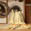 Abstract Indoor Rug-2000053394