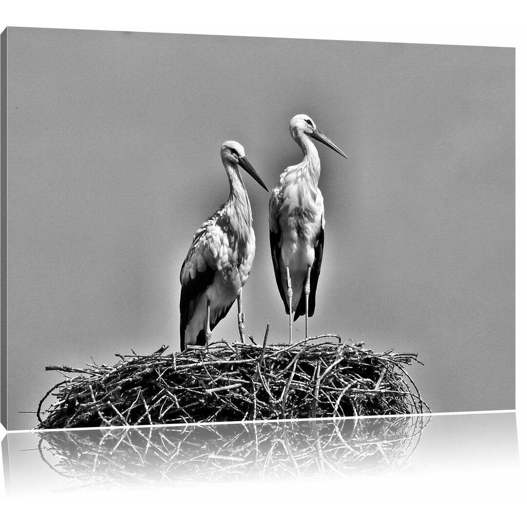 Leinwandbild Zwei stolze Störche im Nest in Monochrom