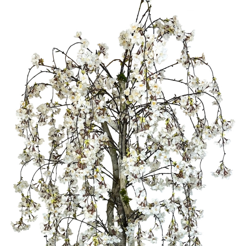 Faux Cherry Blossom Tree in Fiberstone Planter, 60" H x 34" W x 11.50" D
