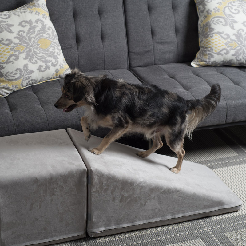 Rampe pour animaux 14 ", Gris platine
