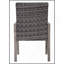 Chaise de salle à manger d'extérieur 2 pièces, structure peinte à la main, siège en coton lavé à l'eau pour le jardin, la cour et la piscine