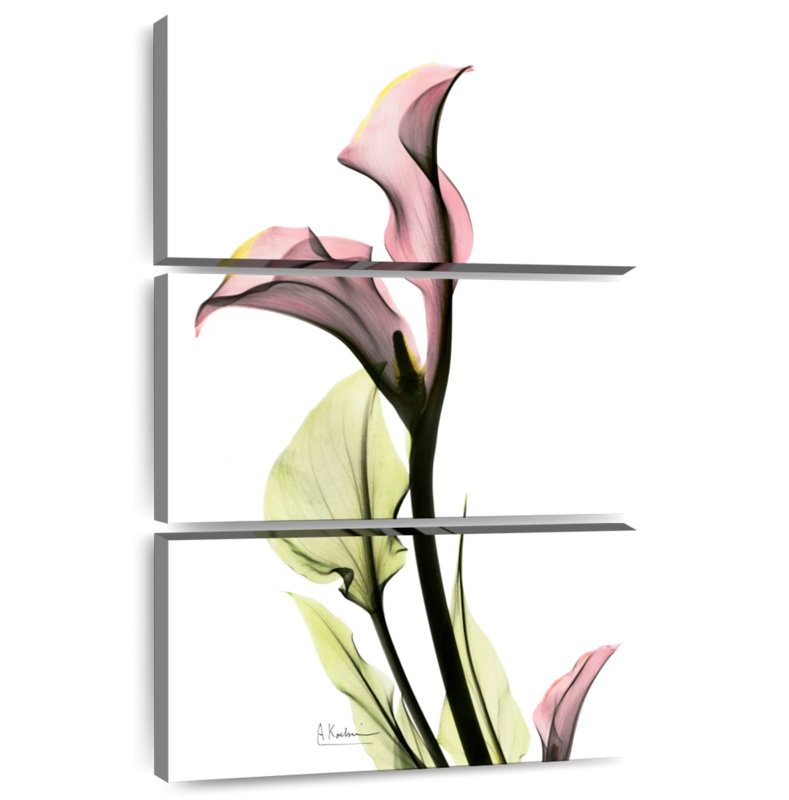 Harnek Delicate Calla Lily, 57" H x 36" W