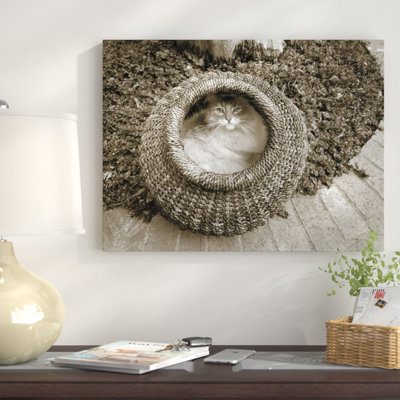 " Cat " by Jim Dratfield