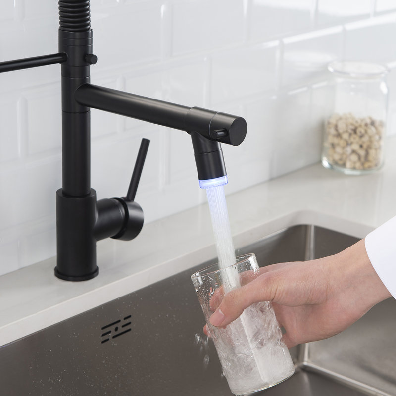 Matte Black Pull Down Kitchen Faucet with Pull-out Spray