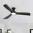 Karlena 52'' Dimmable Ceiling Fan with Lights and Remote Control 3CCT Reversible DC Motor Timer Memory-1749798894