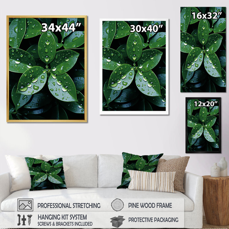 «Botanical Plan Under Rain», reproduction d'art sur toile, H 40 po x l 30 po x P 1,5 po, Cadre simple noir