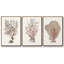 Sandstone Peel I - ensemble de 3 reproductions sur toile-97706492-97706497