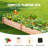 Cassidie Wood Raised Garden Bed