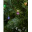 EATON FIR 8.5 H Christmas Tree-137456623-137456622