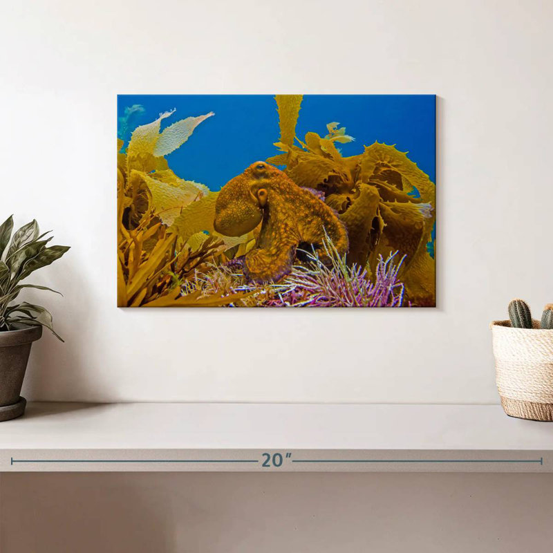 Crowle Reef Octopus And, 8" H x 12" W